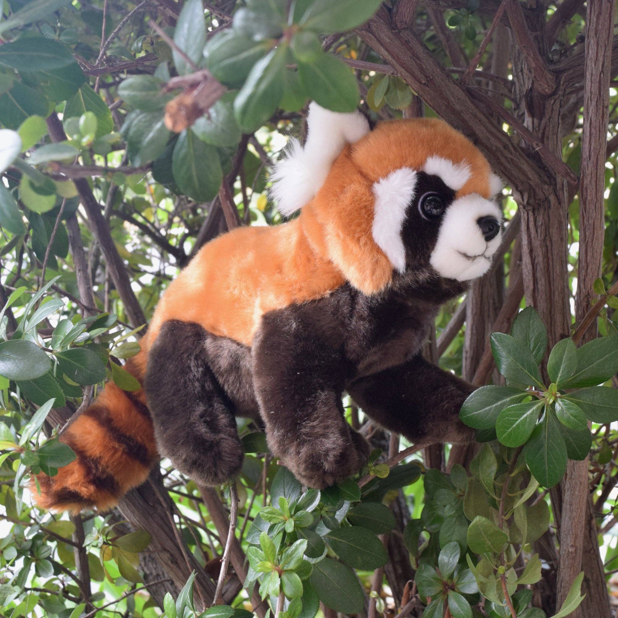 Wildlife Tree - Wholesale Stuffed/Plush Toy - Kids & Baby - 12" Red Panda Stuffed Animal5