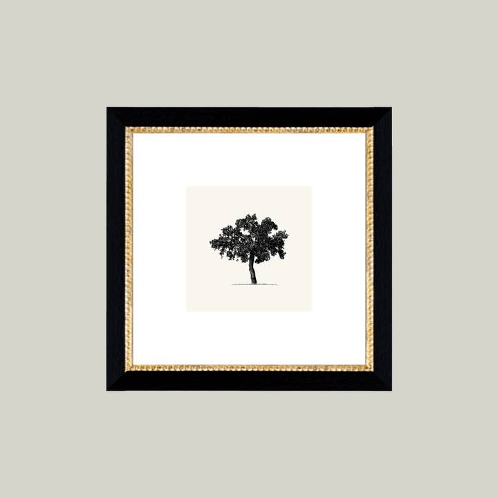 Petal Lane Home - Wholesale Wall Art Set - Tree Framed Antique Art