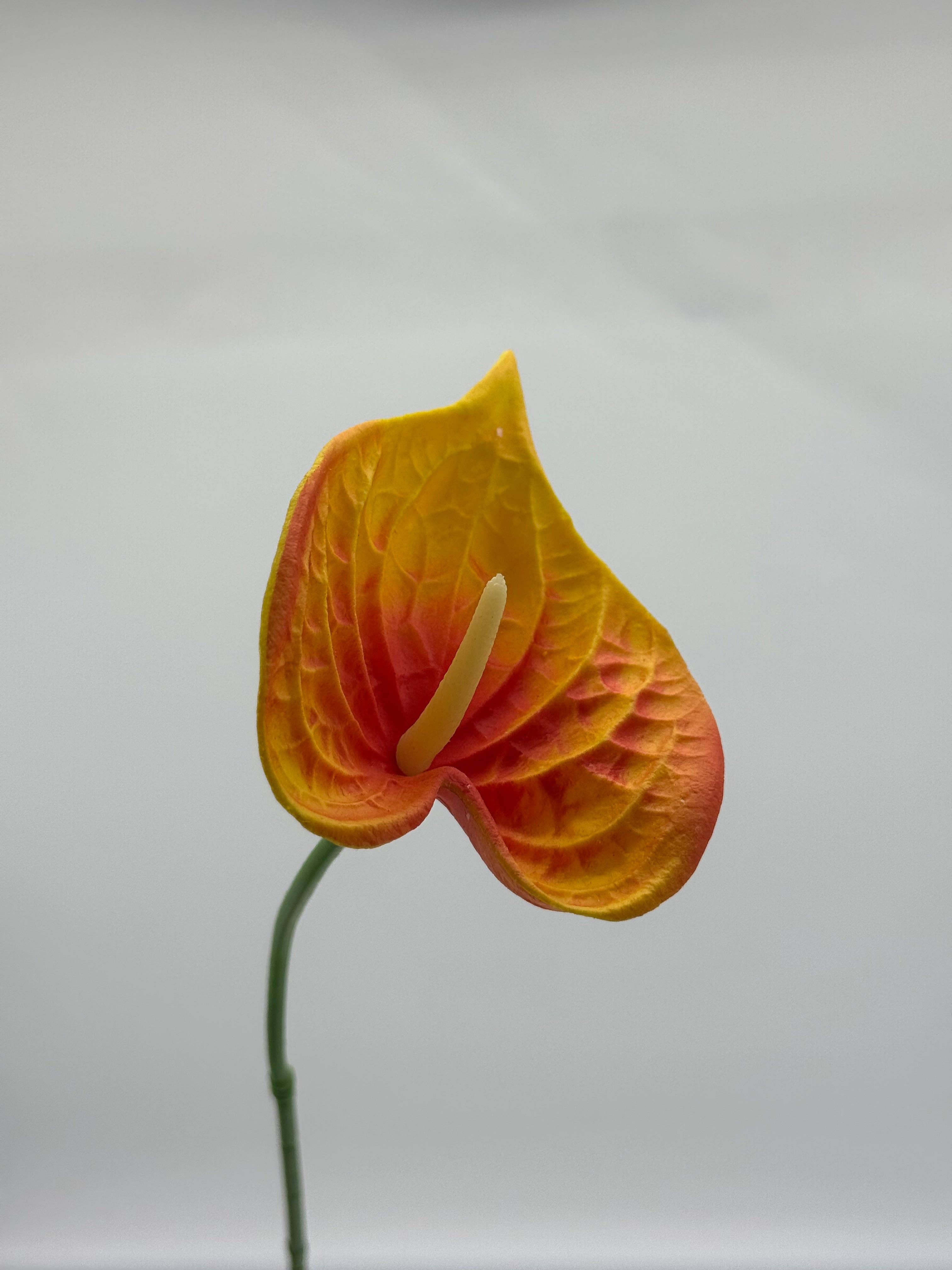 JKF & Co Pty Ltd - Wholesale Artificial Flowers - Anthurium Small Real Touch Single Stem0