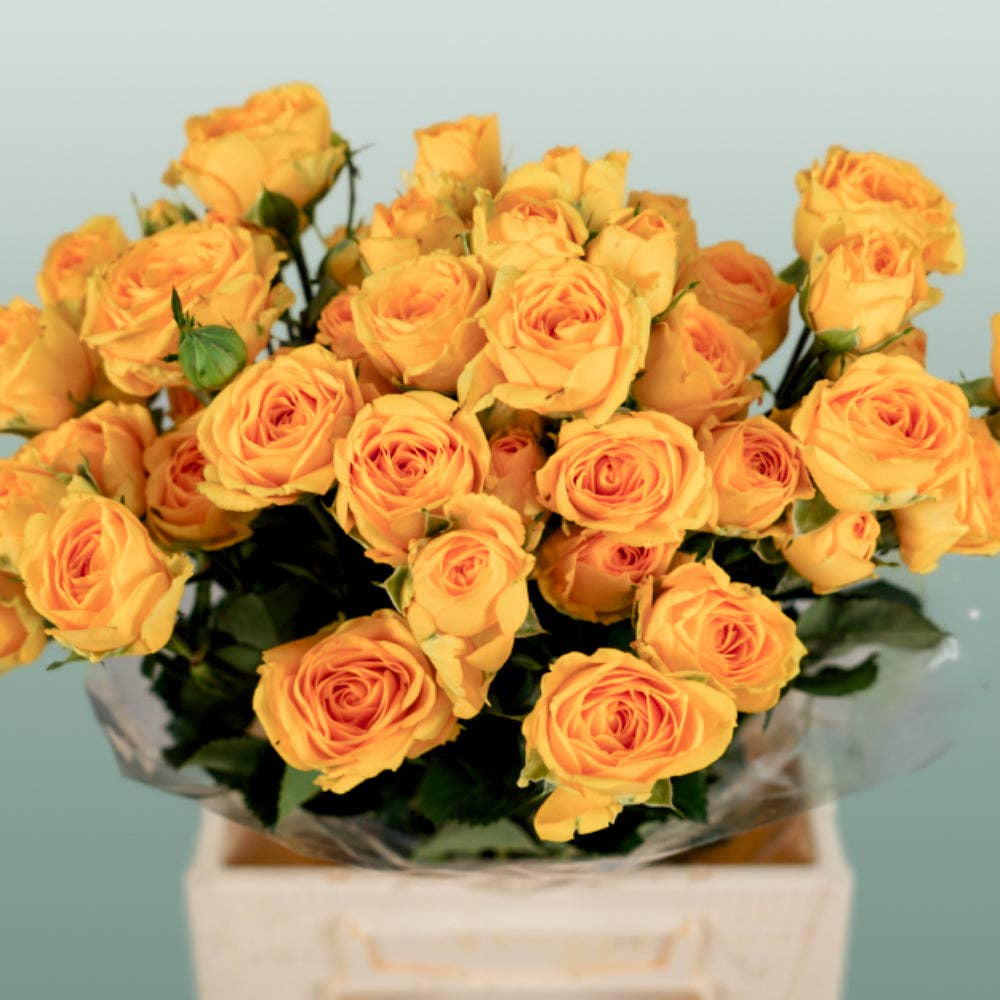 Pink Spray Rose Ramona for wholesale on Faire2