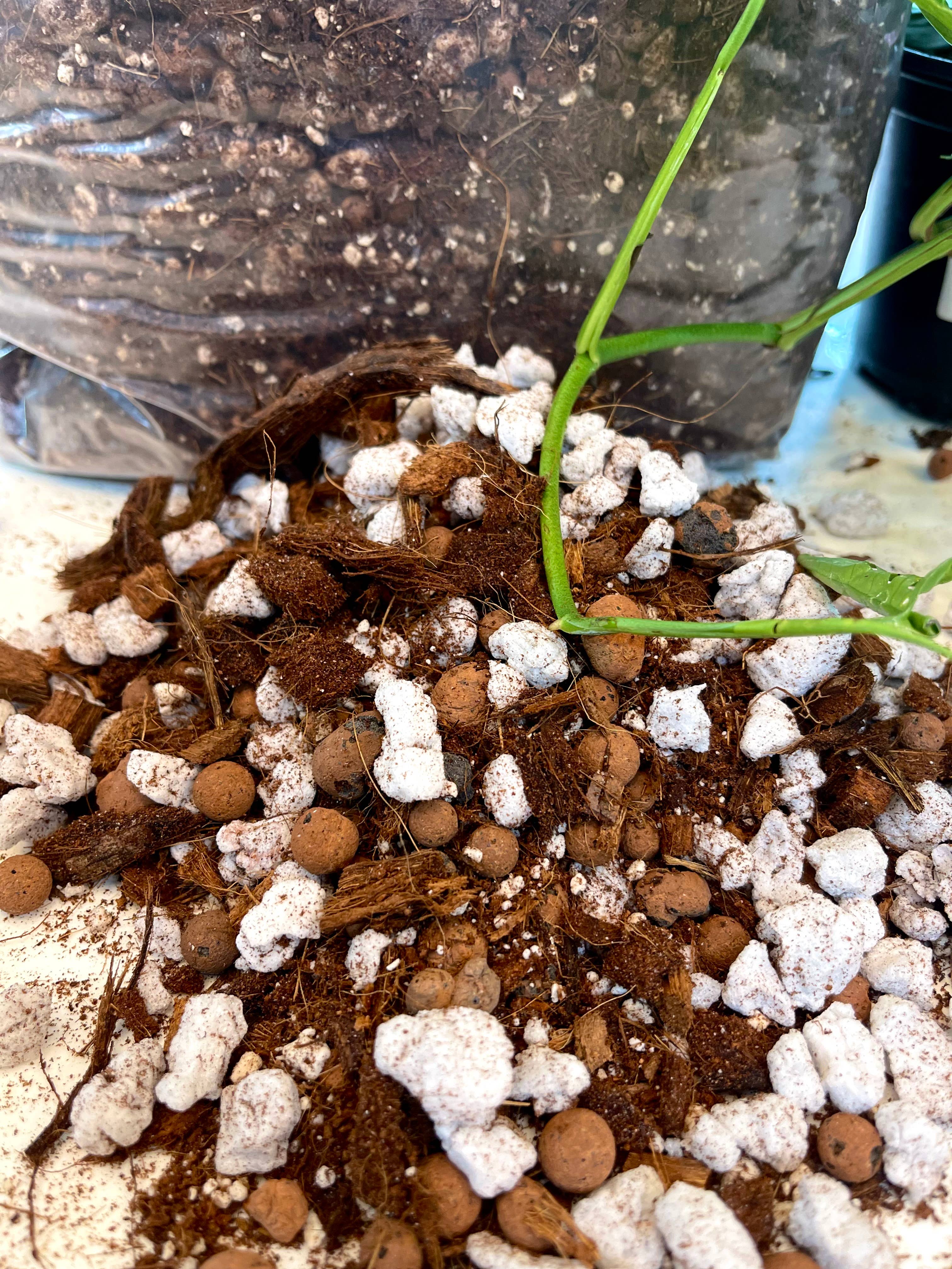 Found Things Plant Shop - Wholesale Planting/Potting Soil - Aroid Potting Soil2