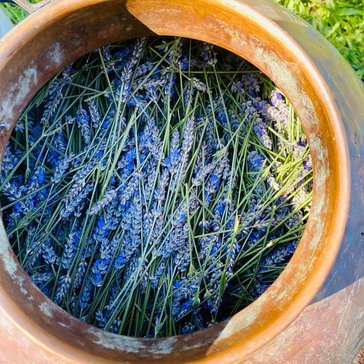 Botanical Activations - Wholesale Room & Linen Spray - R & R Lavender Body and Linen Spray1