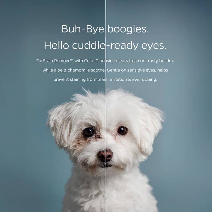 Pet Parents® - Wholesale Pet Grooming Tool - Dog - Pet WiPees™ Eye Wipes for Dogs and Cats, 100ct2