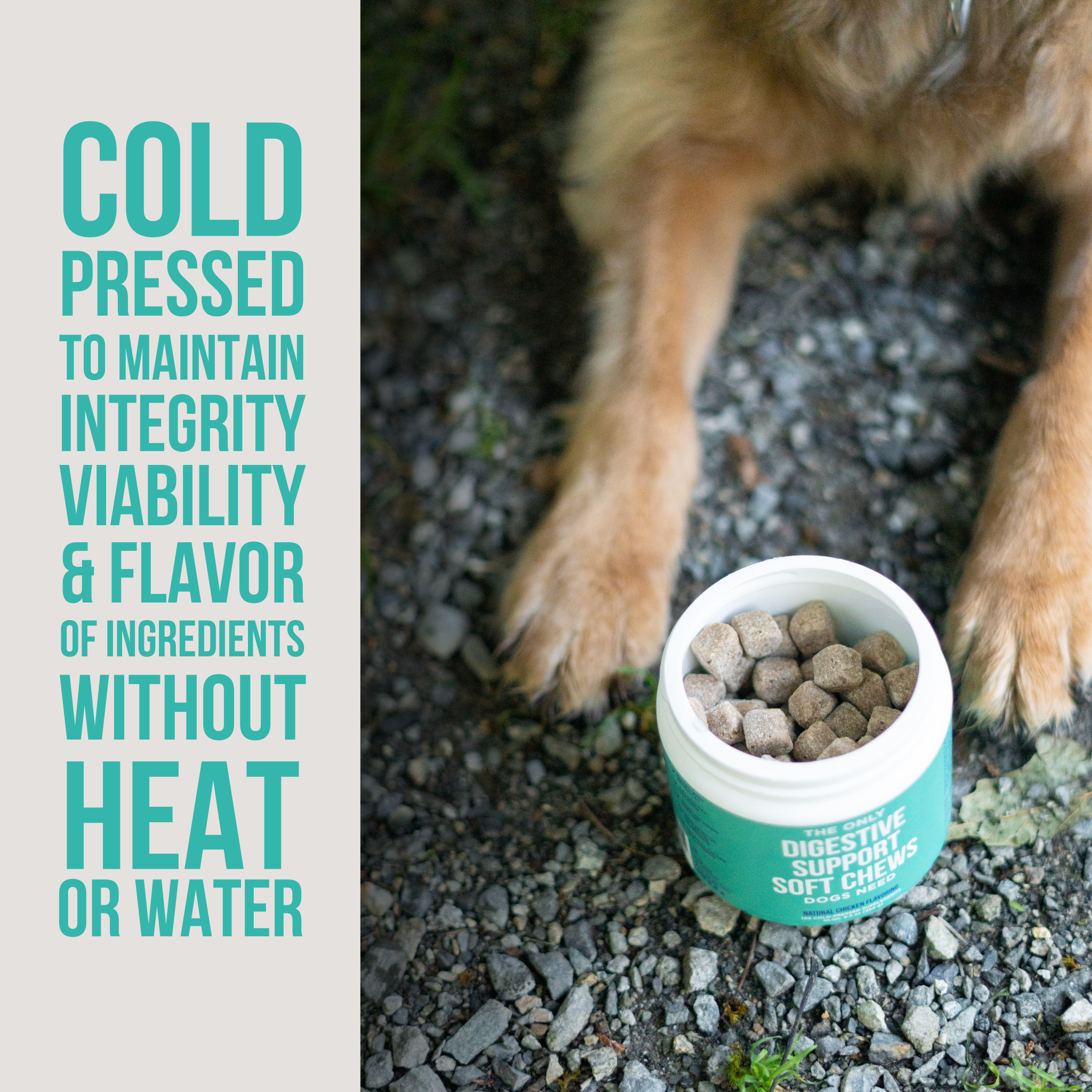 Natural Rapport - Wholesale Pet Supplement - Dog - The Only Digestive Support Soft Chews Dogs Need2