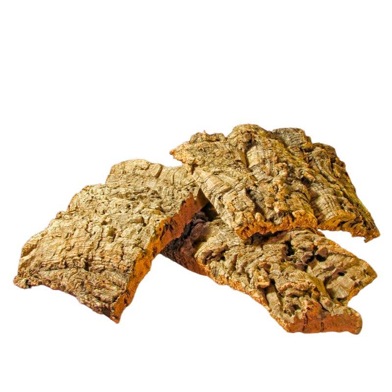 Russell's Bromeliads - Wholesale Live Plant - Cork1