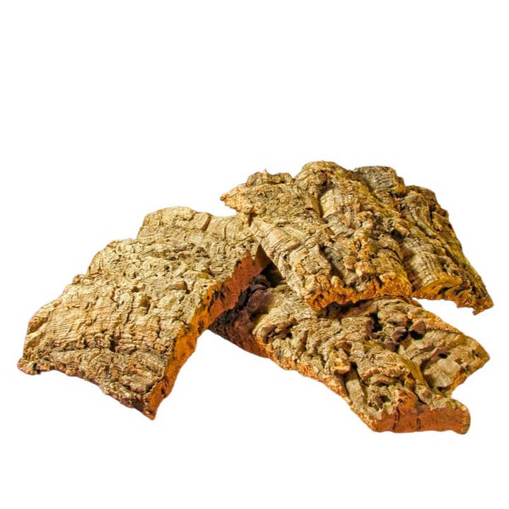 Russell's Bromeliads - Wholesale Live Plant - Cork1