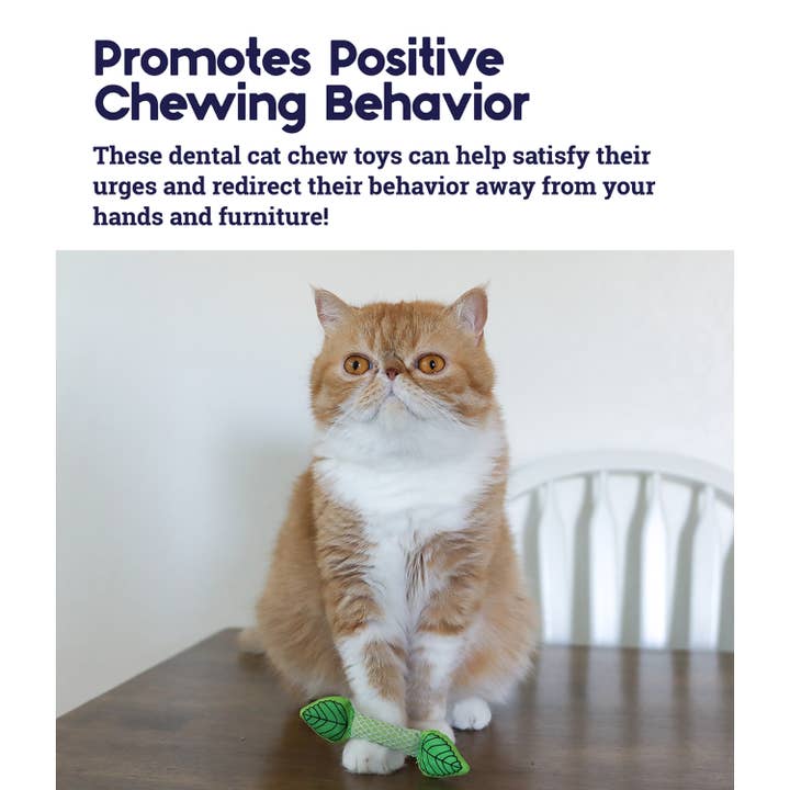 Pet Palette Distribution - Wholesale Pet Toy - Cat - Catstages Fresh Breath Mint Stick Dental Cat Chew Toy3