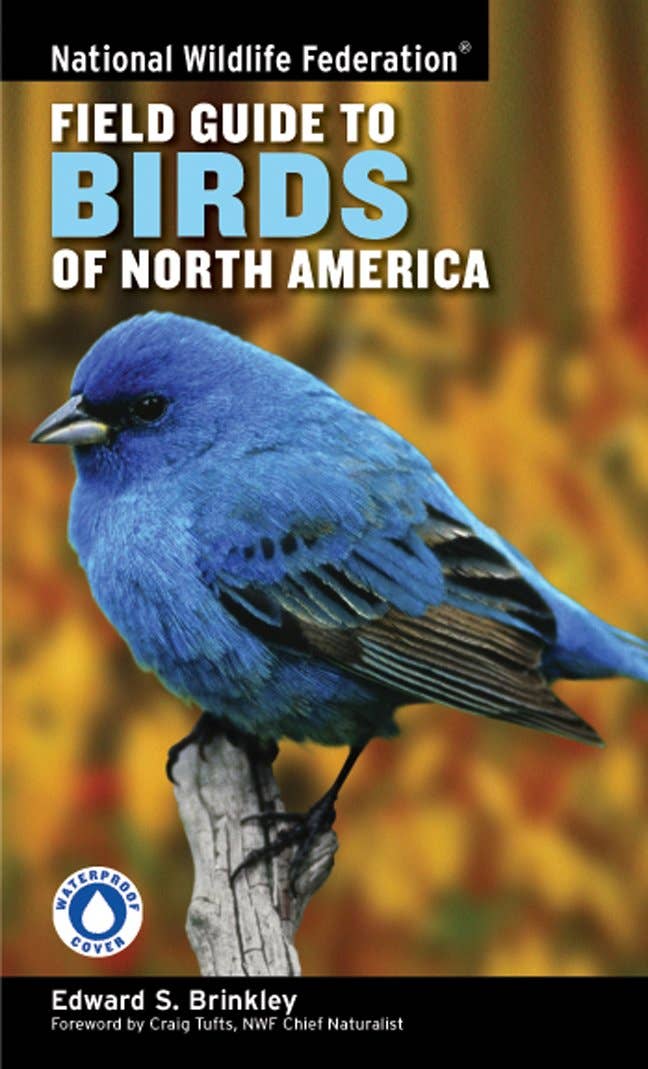Hachette Book Group - Wholesale Nature & Outdoors - NWF Field Guide to Birds of North America0