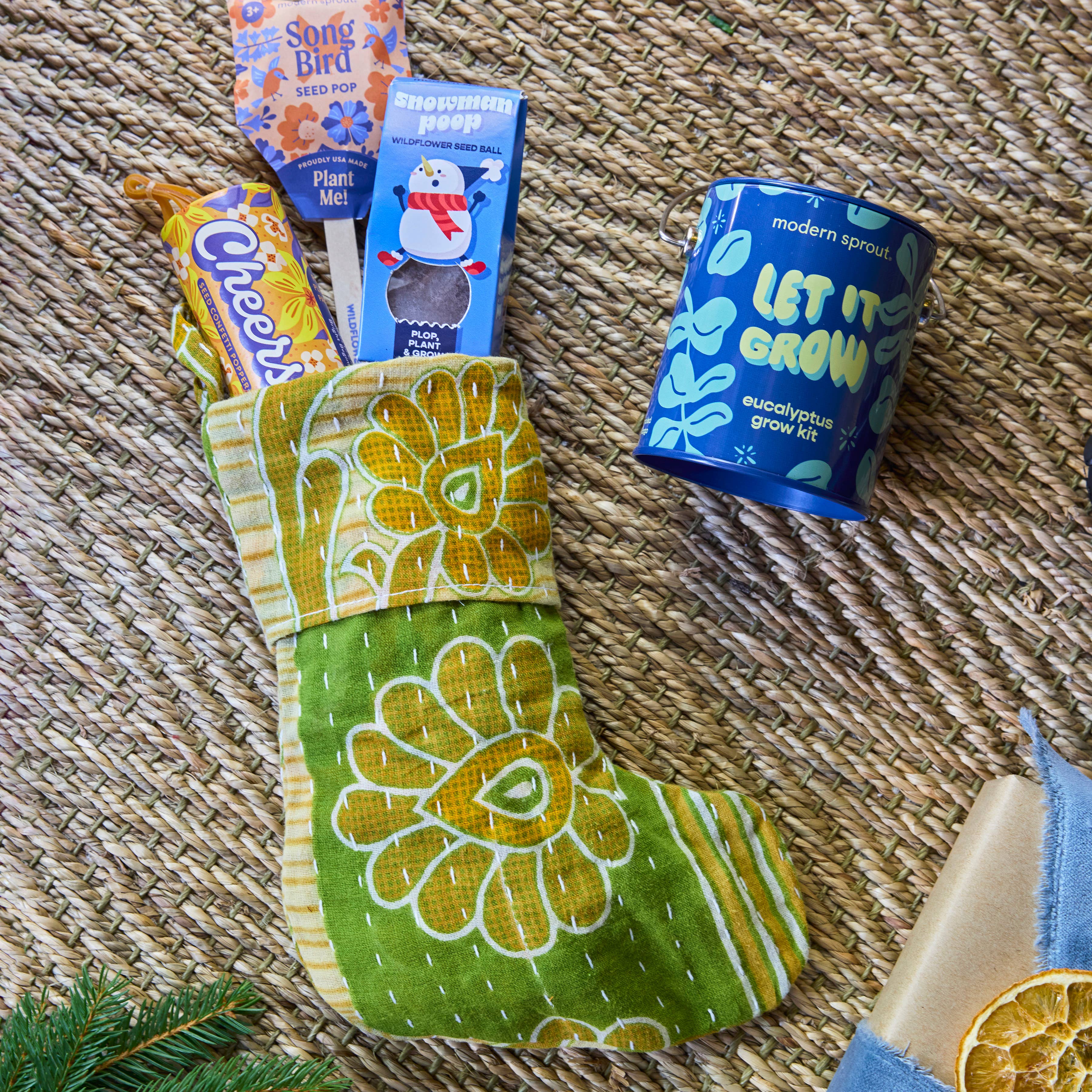 Modern Sprout - Wholesale Plant Seeds - Holiday Complimentary Colors Grow Kits16