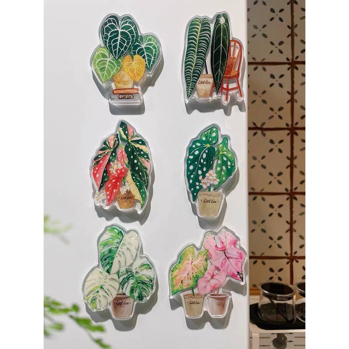 ZOETSTUDIO - Wholesale Magnet - Double-sided Tropical Plant Magnets