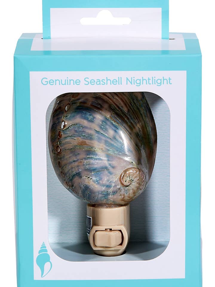 Polished Greenlip Abalone LED Boxed Night Light for wholesale by HS Seashells