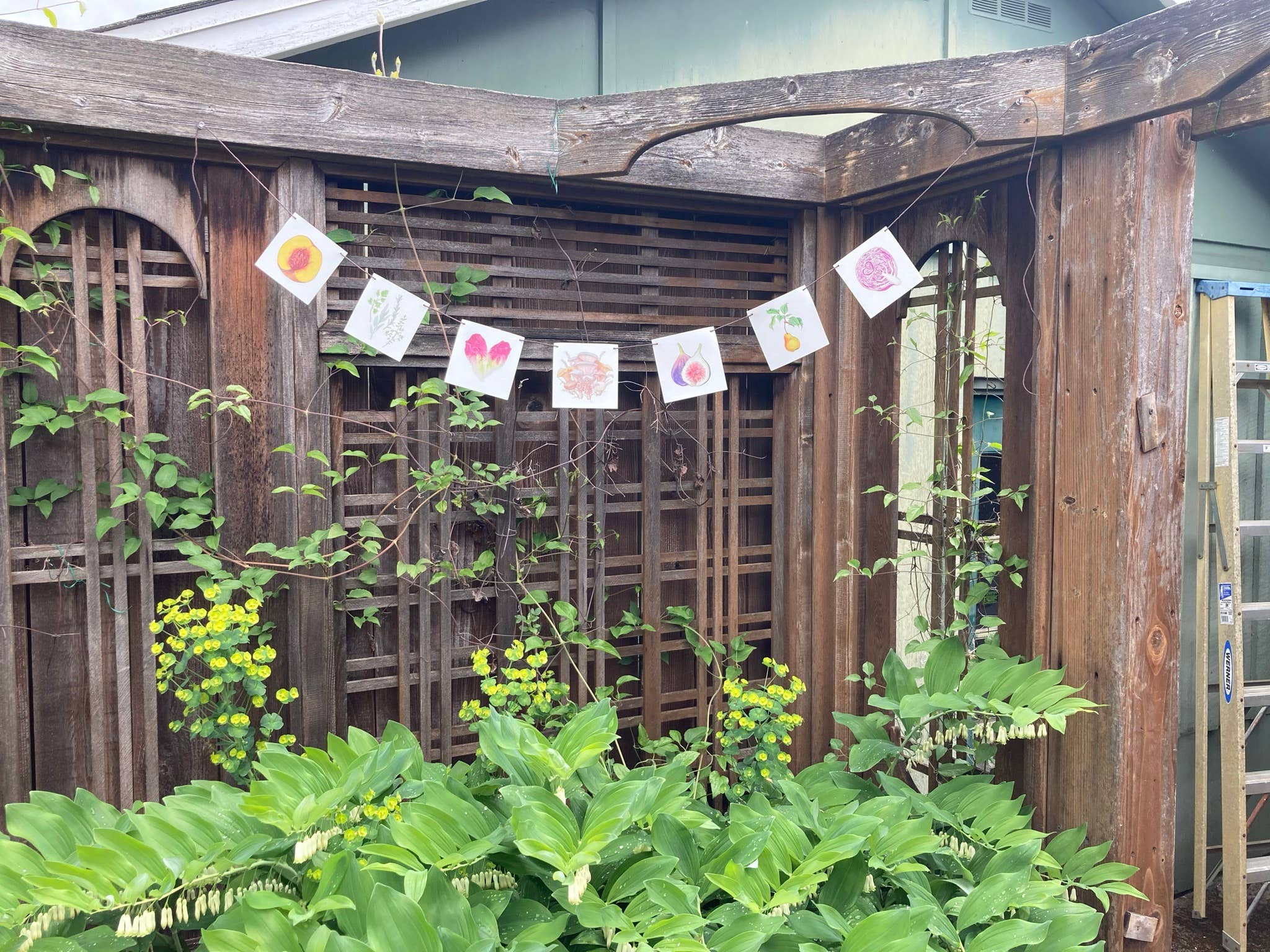 Plant Posse – wholesale Banner – Produce Prayer Flag24