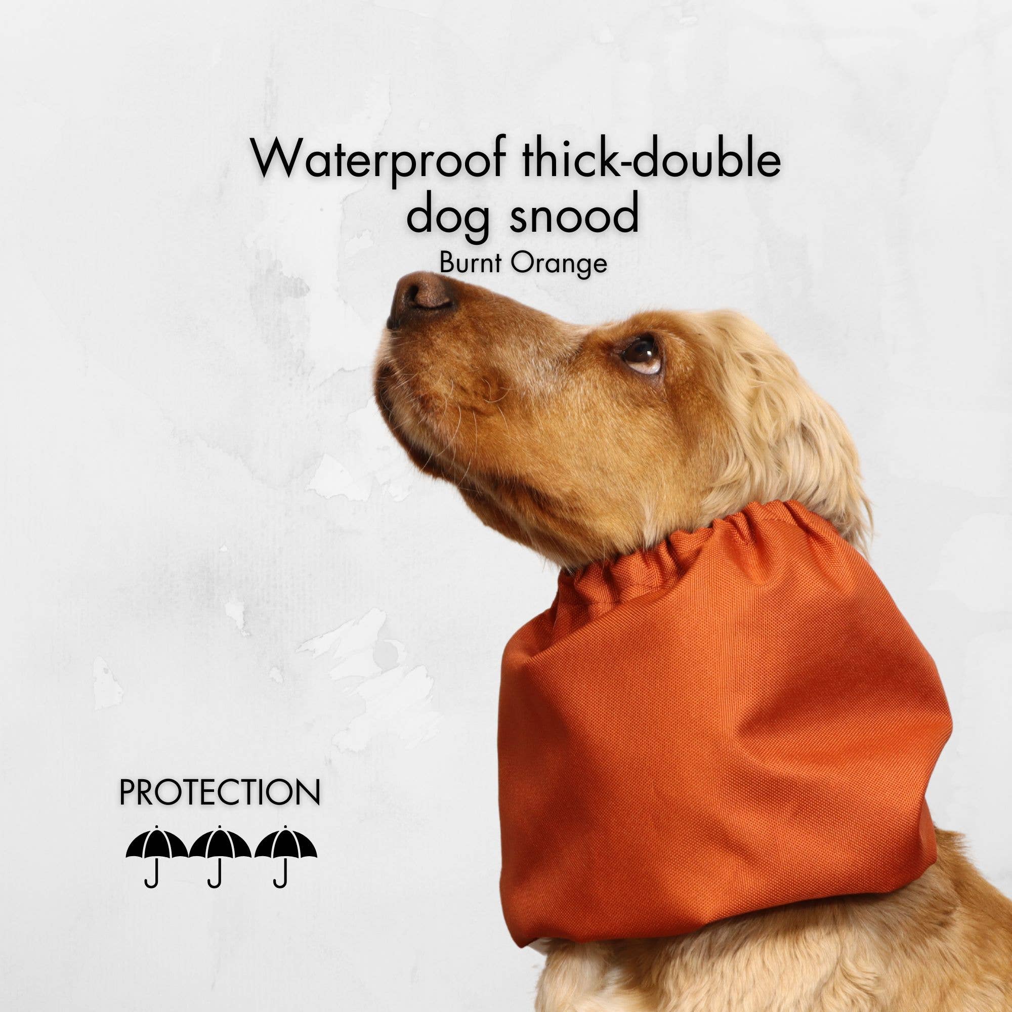 Distinguish Me - Venta al por mayor Protector de cuello para mascotas - Perros - Snood impermeable para perro | Naranja quemado5
