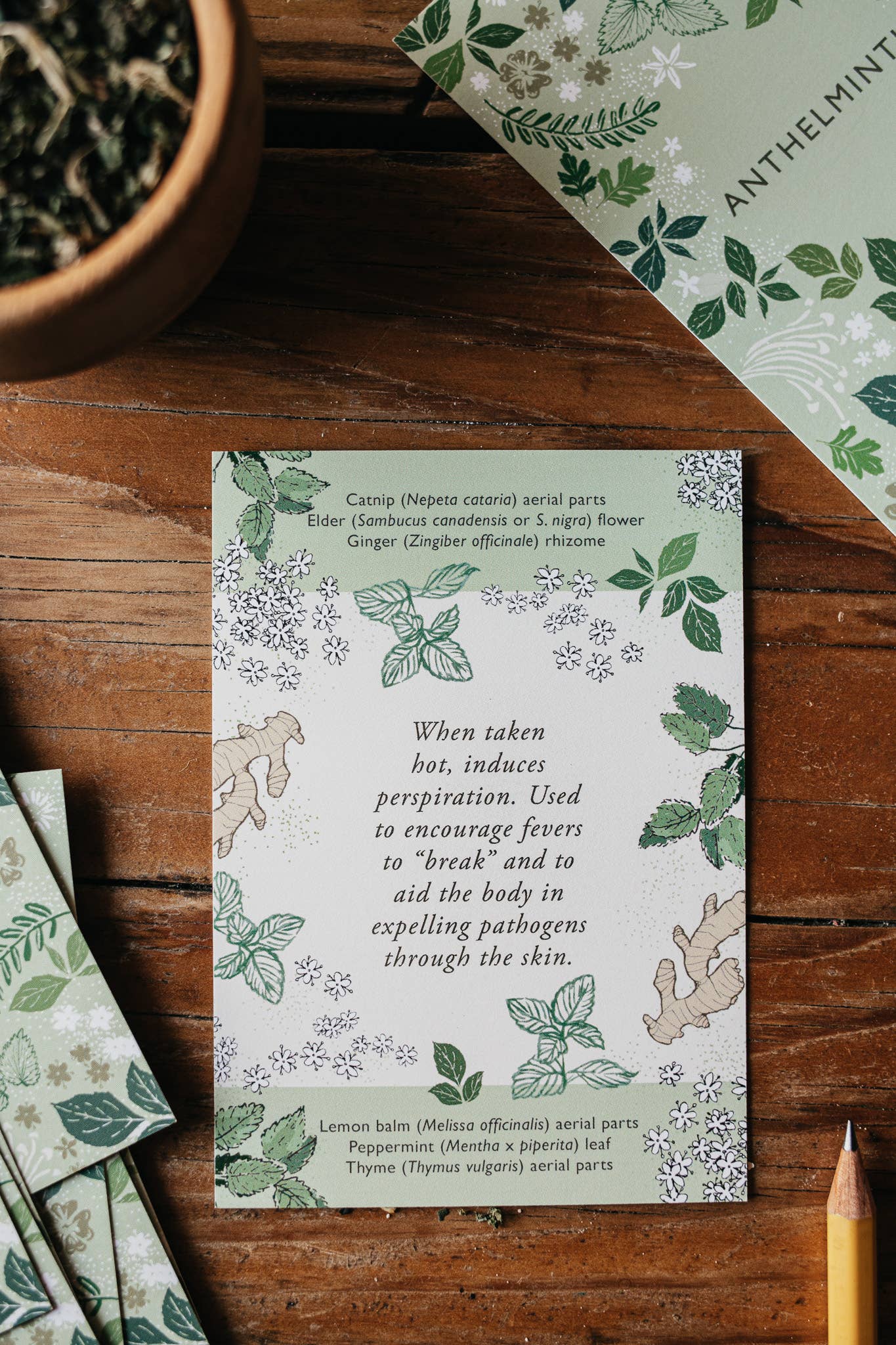 Herbal Academy - Wholesale Learning Cards - Kids & Baby - Herbal Actions Flashcards1