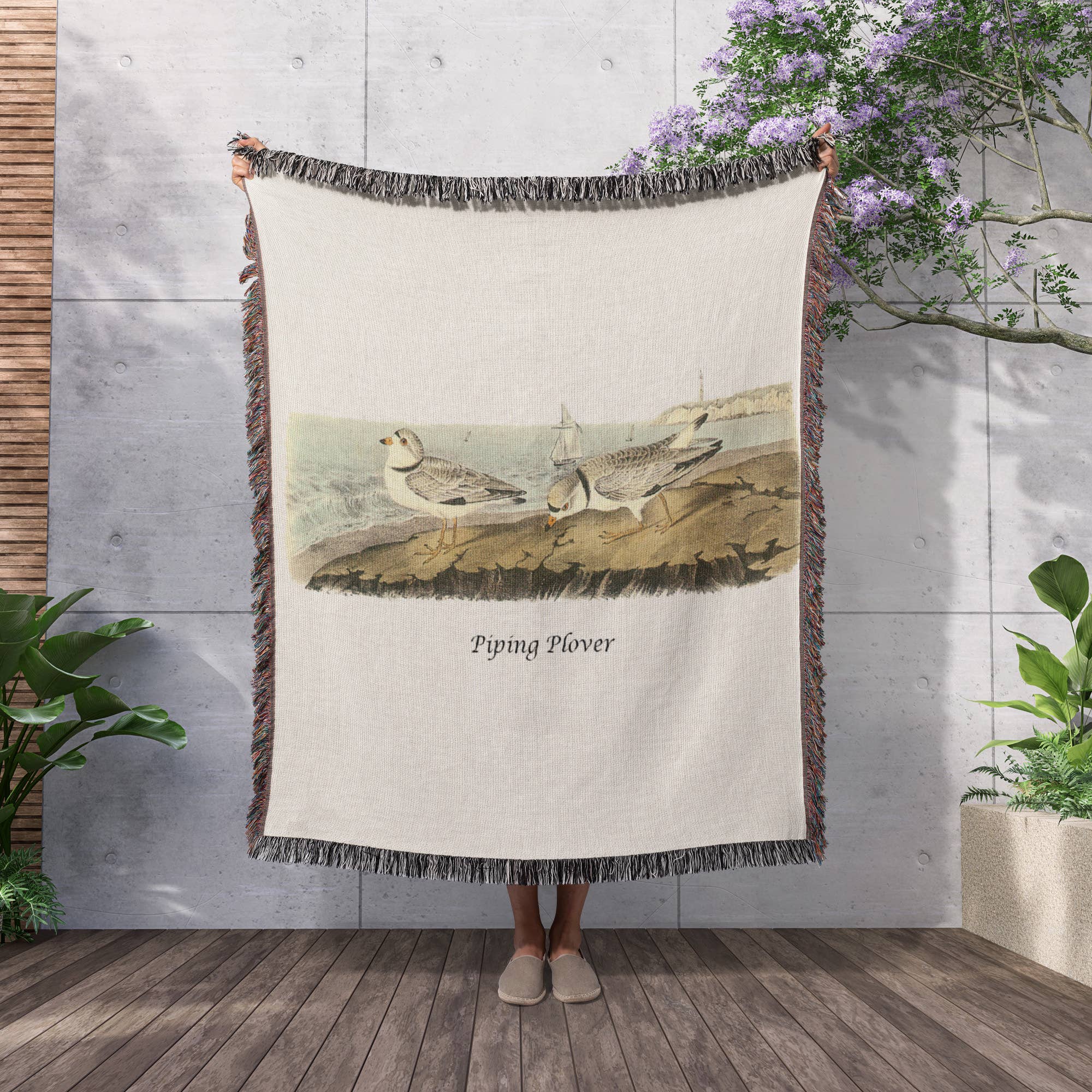 3dRose - Wholesale Throw Blanket - 3dRose, Piping Plover by John James Audubon, Blanket2