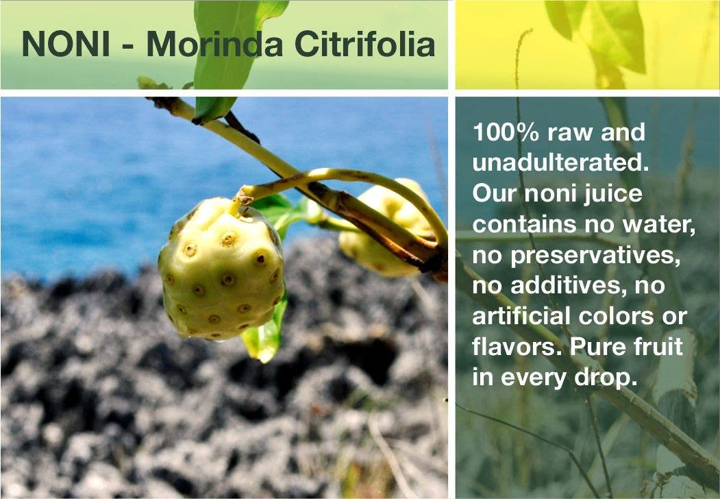 Frutos pachamama eirl - Wholesale Wellness Juice/Tonic - Noni's Caribbean raw juice1