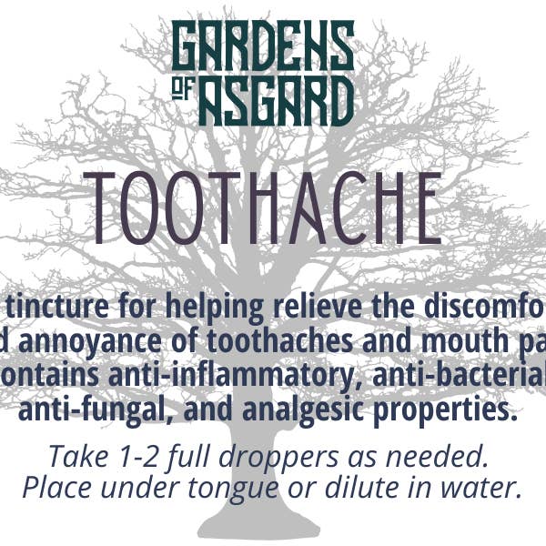 Toothache Tincture for wholesale by Gardens of Asgard