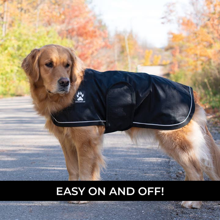Shedrow K9 - Wholesale Pet Raincoat - Dog - Shedrow K9 Harbour 2.0 Rain Coat - Black