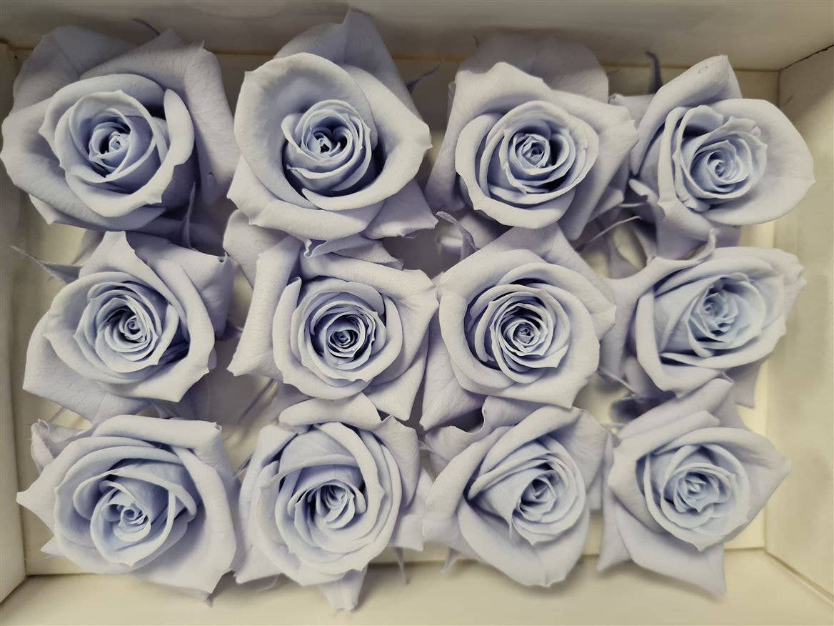 Dutch Flower Studio - Wholesale Artificial Flowers - 🌸 Preserved Roses - 10 colors - Decoration - Flowers - 4 cm4