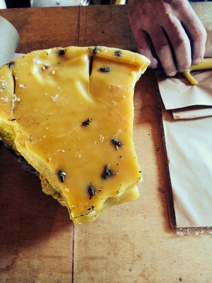 Stick Candles – wholesale Tapered candle/candlestick – Stick Candles Cedar / Pair12