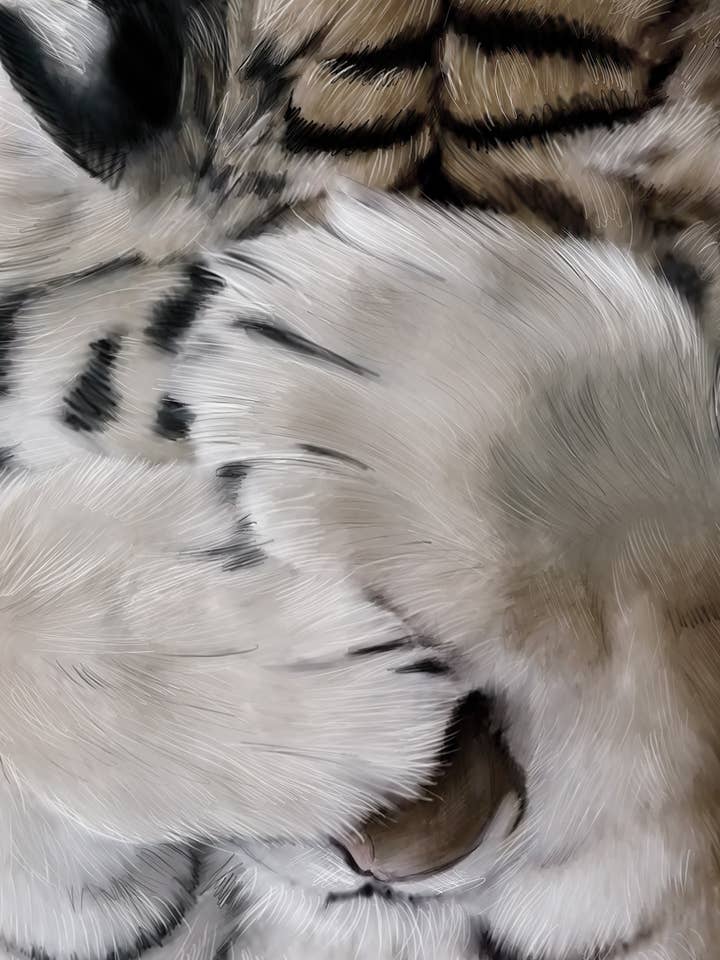 Poster Teo voor wholesale door Linn Wold