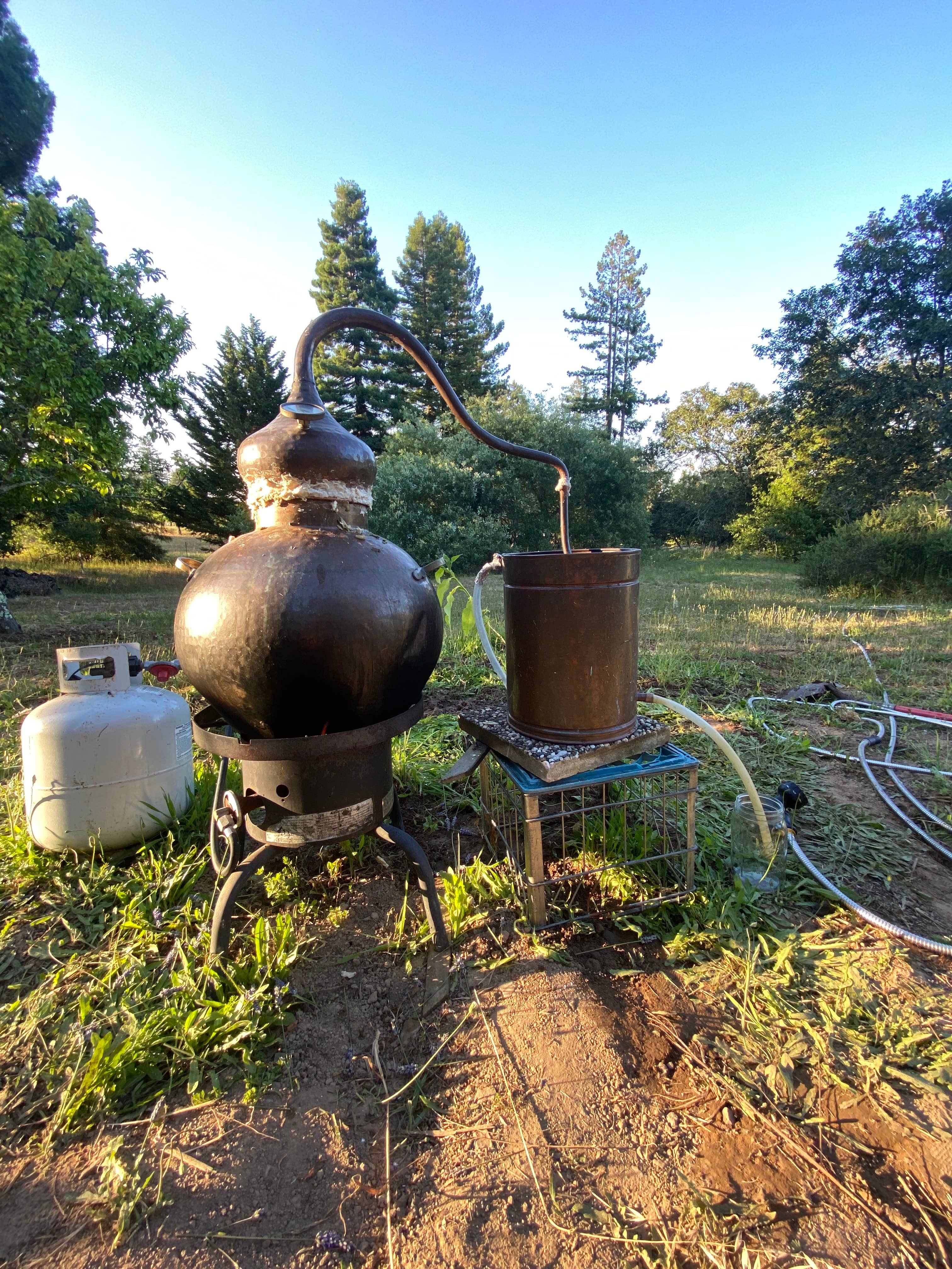Botanical Activations - Wholesale Room & Linen Spray - R & R Lavender Body and Linen Spray2