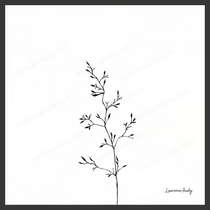 Display Minimalist Drawing Plant 02 for wholesale by LAURENCE AUDY CROQUIS