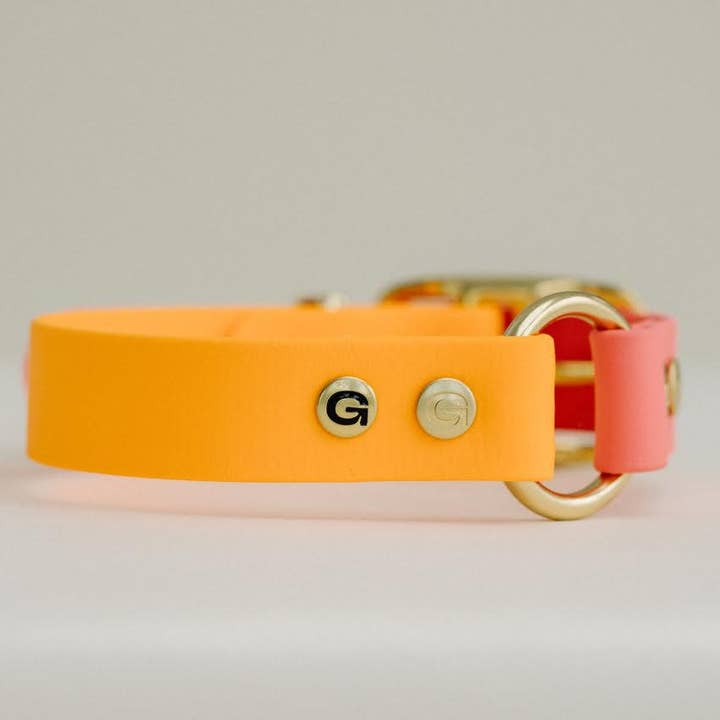 GULA DOG CARE - Wholesale Pet Collar - Dog - Classic Dog Collar - Orange & Pink (25mm width)