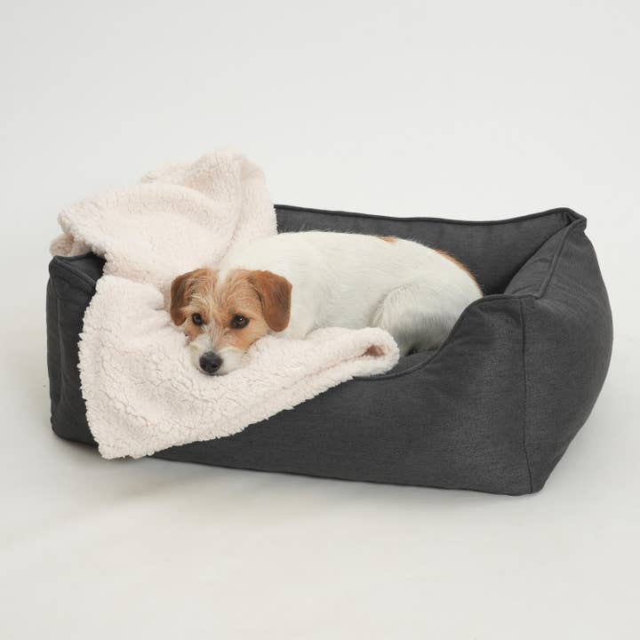 DOGS in the CITY® – Großhandel Haustierbett – Hund – Hundebett Box Bett Ono graphit
