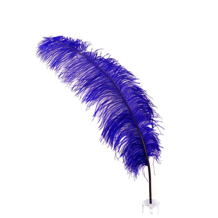 Grandi Piume di Struzzo - Spads 18-24" - Regale per la vendita all'ingrosso da parte di Zucker Feather Products