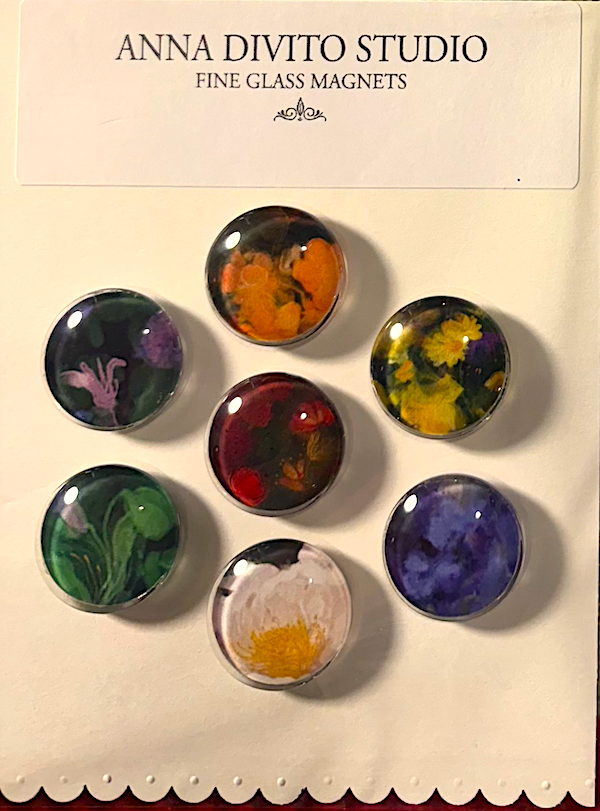 Anna DiVito Studio - Wholesale Magnet - BOTANICAL MULTI COLORED MAGNET SET | GLASS | HANDCRAFTED1