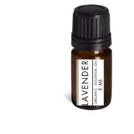 Lavender for wholesale by The Smelly Sasquatch