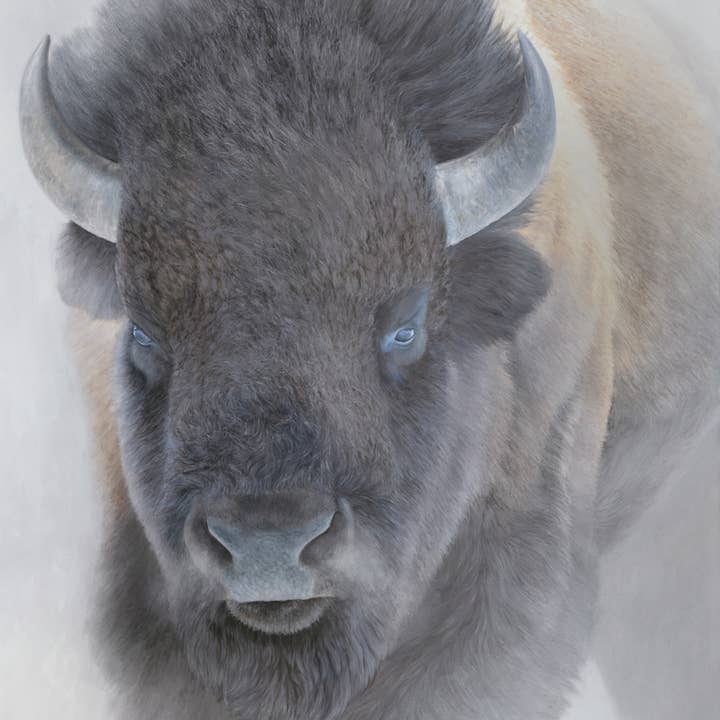 Big Bison - Buffalo in Mist Wildlife Art Print on Canvas for wholesale by James Corwin Fine Art