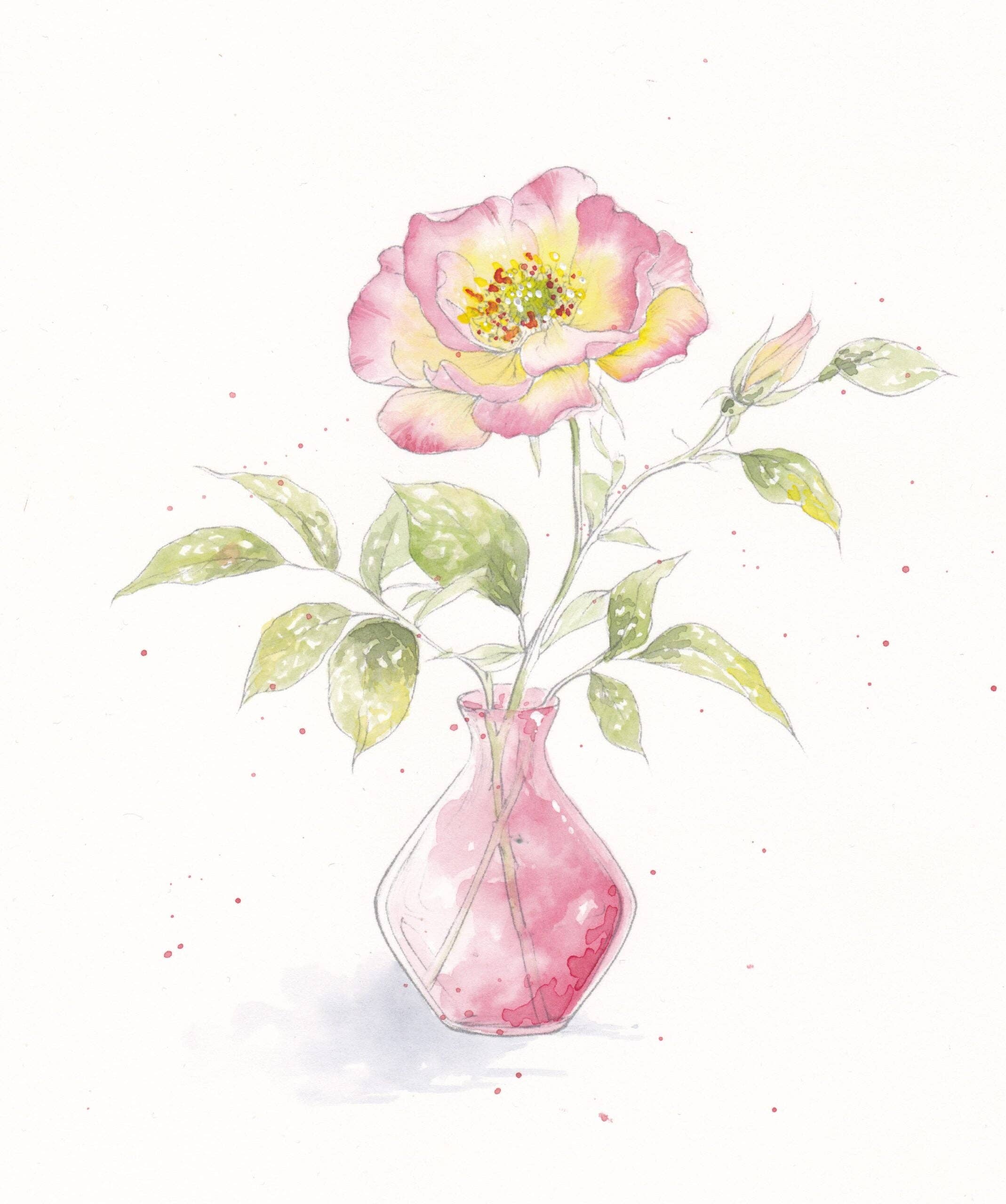 willowwolfe - Wholesale Sketchbook/sketchpad - Blooms & Bouquets Watercolor Workbook by Willow Wolfe6