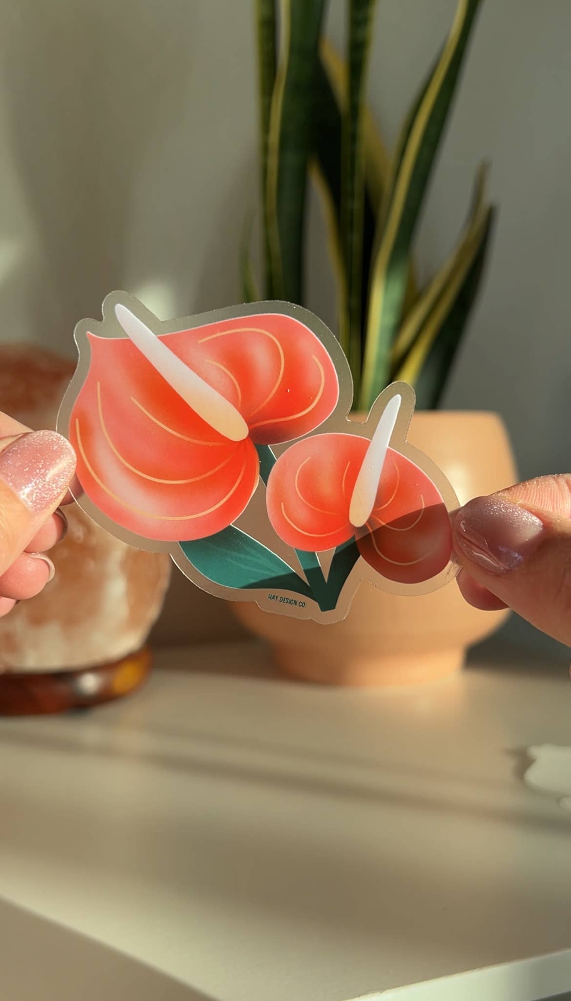 Hay Design Co. - Wholesale Sticker - Anthurium Clear Sticker2