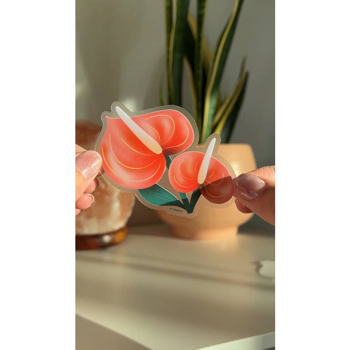 Hay Design Co. - Wholesale Sticker - Anthurium Clear Sticker2