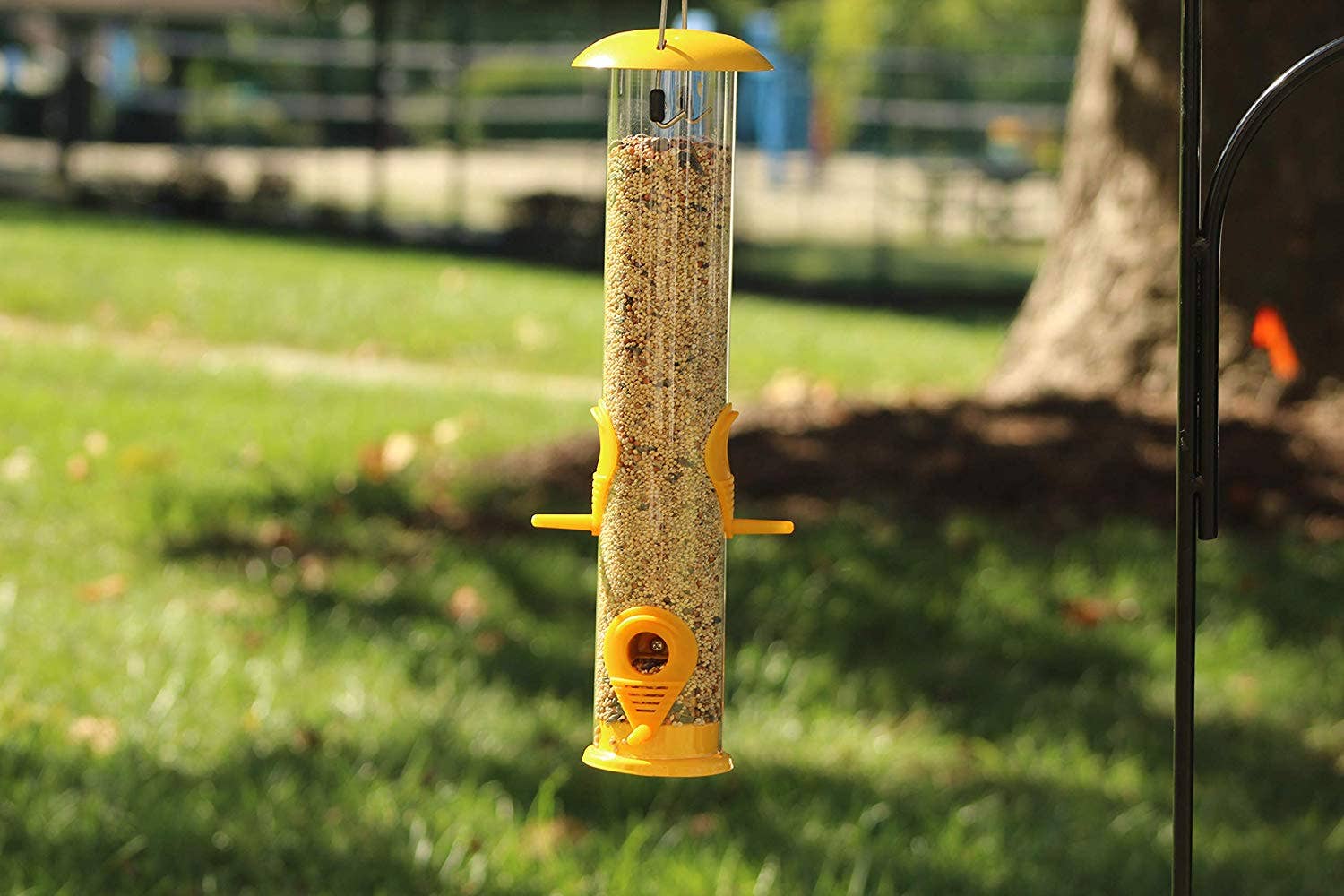 Ashman Online - Wholesale Bird Feeder - Ashman Bird Feeder, Metal Top and Bottom, Spacious Design, Attractive & Long Lasting2