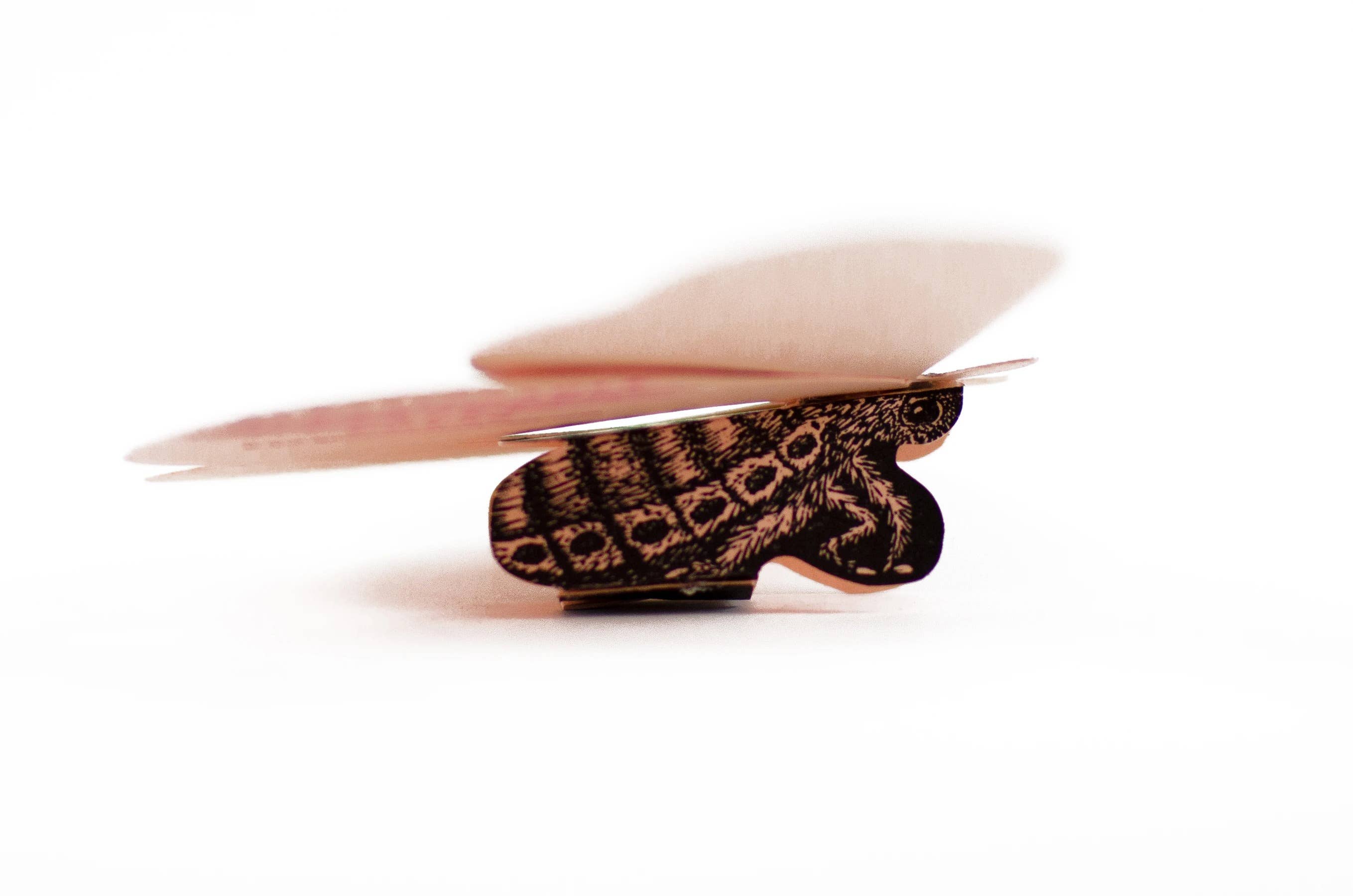 Questionable Press - Wholesale DIY Craft Kit - Moth Paper Sculpture1