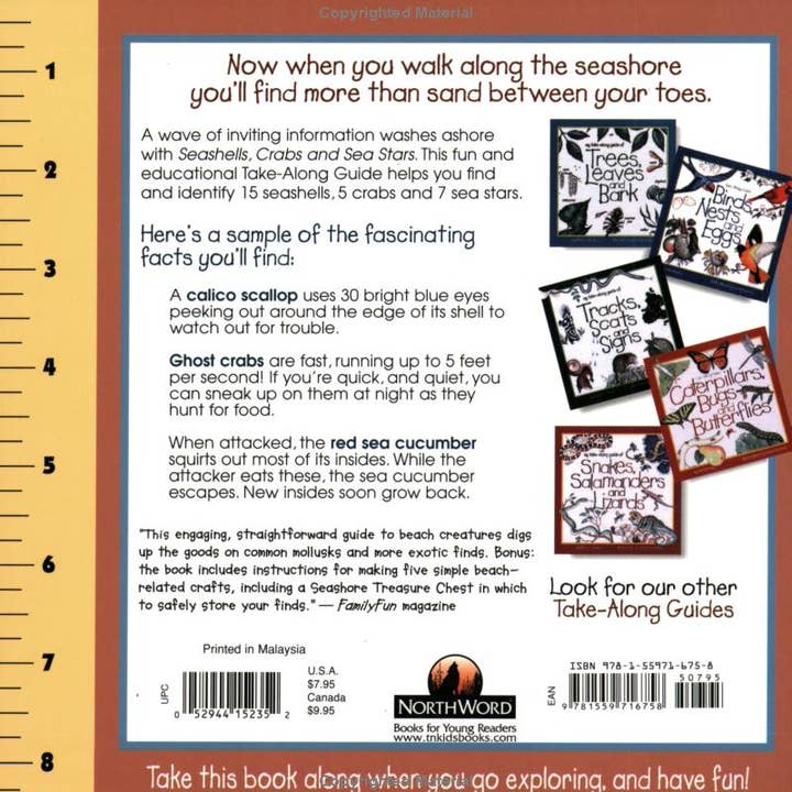 REMOVED BRAND - Wholesale Nature & Outdoors - Seashells, Crabs and Sea Stars: A Take-Along Guide7