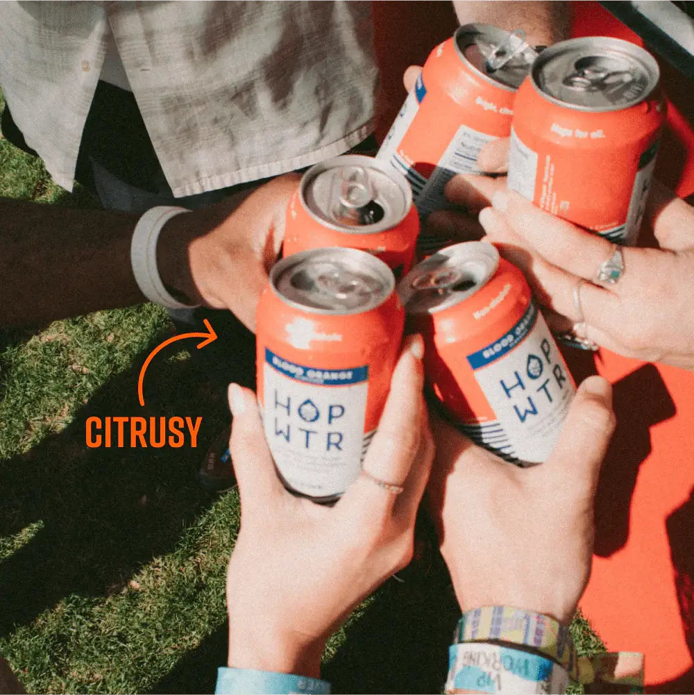 HOPWTR - Wholesale Sparkling Water - HOPWTR - Blood Orange Sparkling Hop Water (12-Pack)3