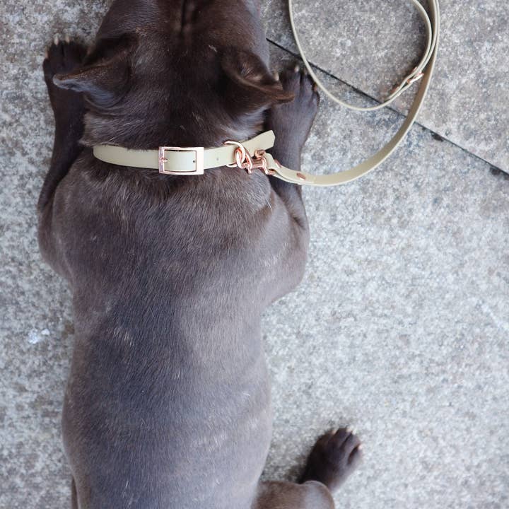 Pet Pooch Boutique - Wholesale Pet leash – Dog - Khaki Biothane Dog Lead -Metal Fittings-Handmade2