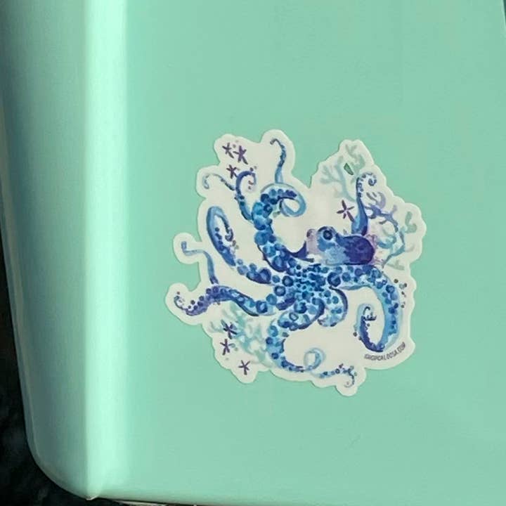 Caloosa WaterWear - Wholesale Sticker - Caloosa Vinyl Sticker 10 Packs14