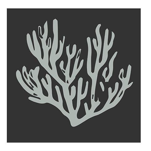 Corail et algues #4 pour la vente par RGB Fineart