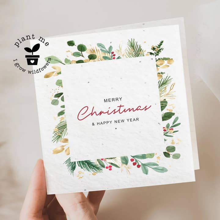 Plantable Christmas Cards Holly Berry Square for wholesale by Myeco