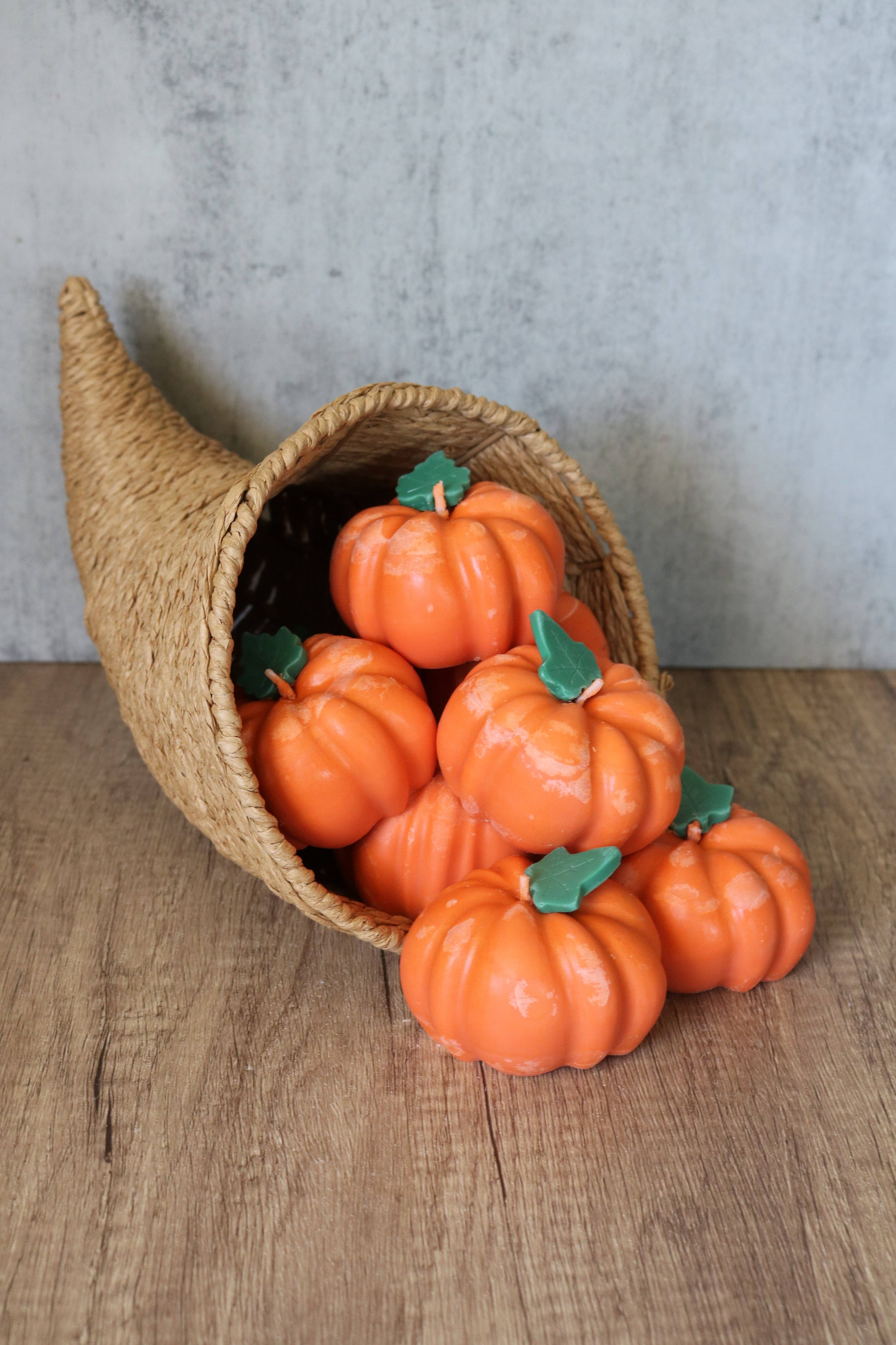 Bea’s Wax - Wholesale Novelty Candle - Pumpkin Patch3