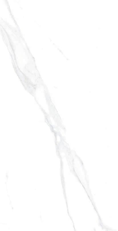 Thomas Avenue Ceramics - Wholesale Wall Tile - 12"x24" Porcelain Calacatta Cool Floor and Wall Tile1