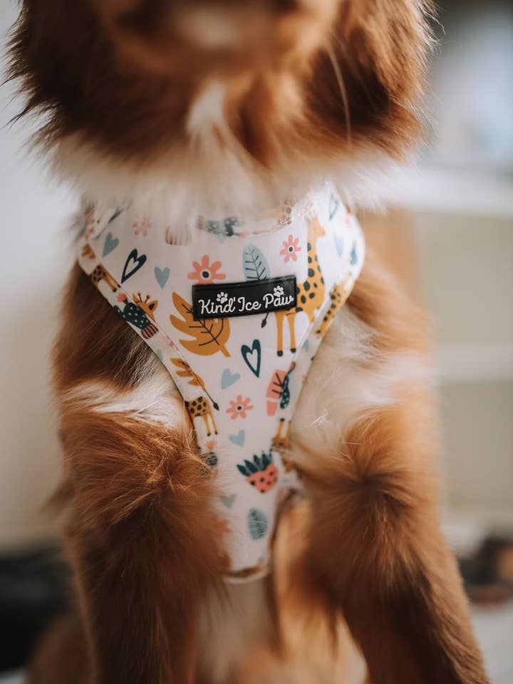 Harnais pour chien anti-traction – Safari Pup, respirant, réglable pour la vente par Kind’Ice Paw
