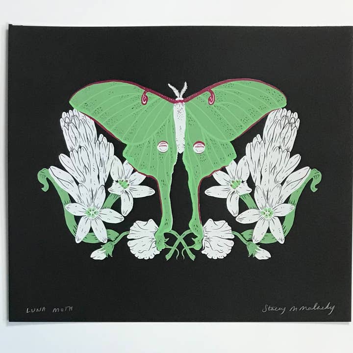 Stacey Malasky - Wholesale Art Print - Luna Moth Print1