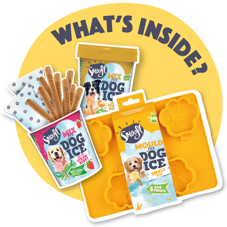 Smoofl – Großhandel Nahrungsergänzungsmittel für Haustiere – Hund – Starterkit für Hunde-Eis – kleines Set für kleine Hunde1