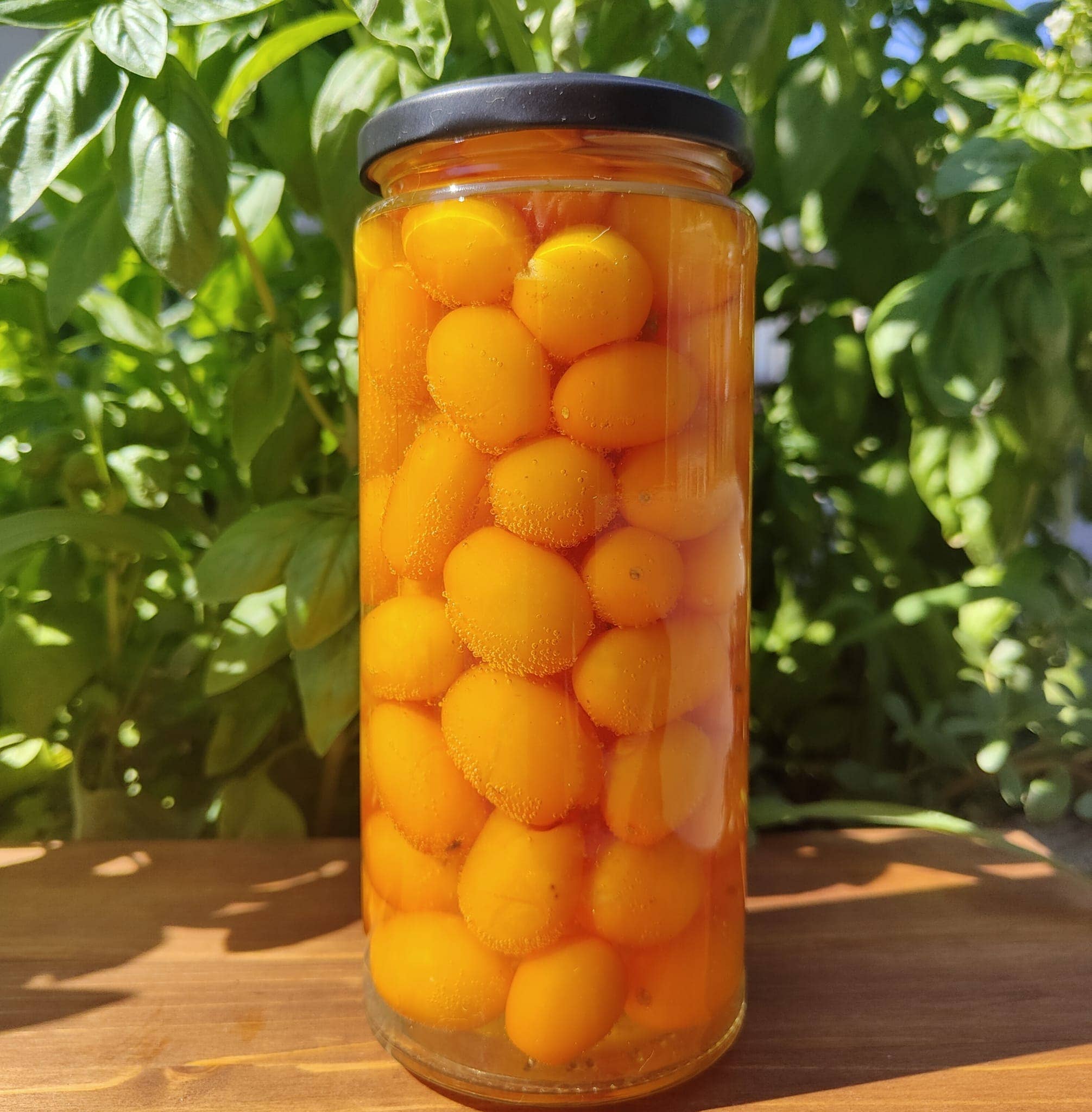 Cocco Food - Wholesale Pickled Vegetables - Datterino Giallo In Acqua Di Mare - Pasta dressing6